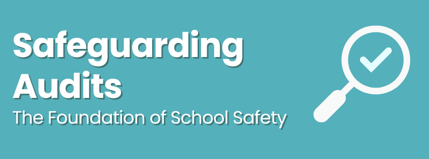 Safeguarding Audits
