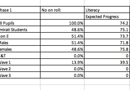 Whole School Data Report - Image 3